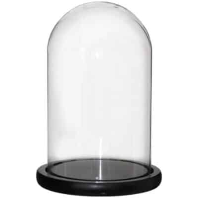 Dome on Black Base