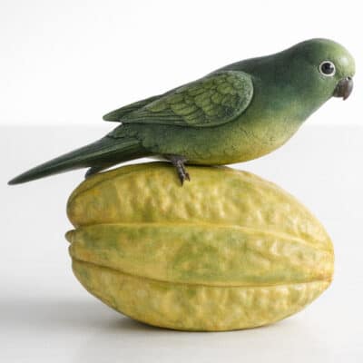 Lovebird on Star Fruit